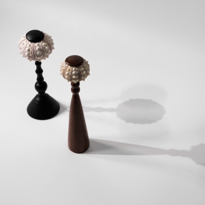 Creative Conch Sculpture Handc - Interior Design Exhibition recension och pris